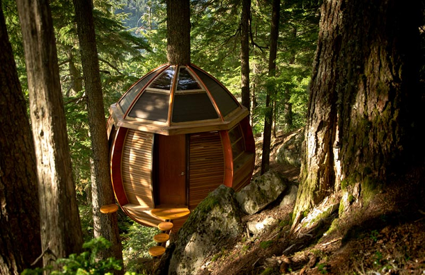 A história de uma casa secreta na árvore localizada em Whistler no Canadá