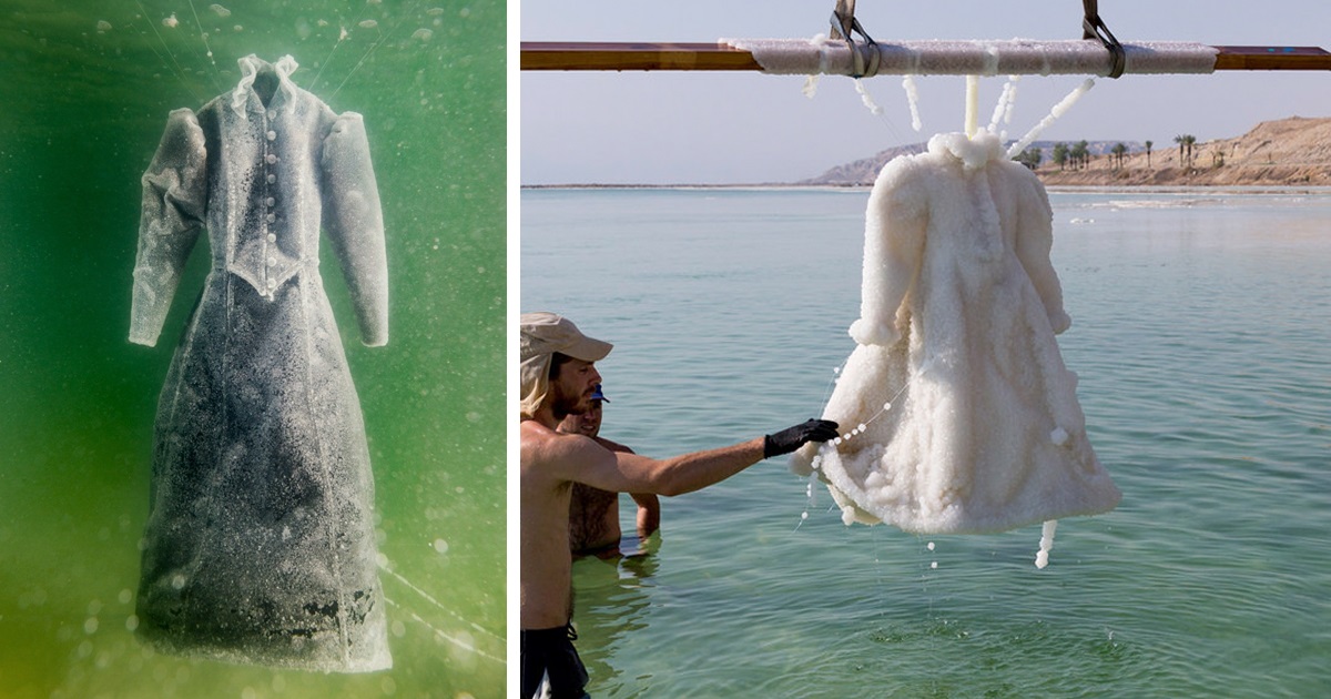 Artista Deixa Vestido No Mar Morto Por 2 Anos E Ele Se Transforma Em Uma Obra De Arte De Sal Cintilante