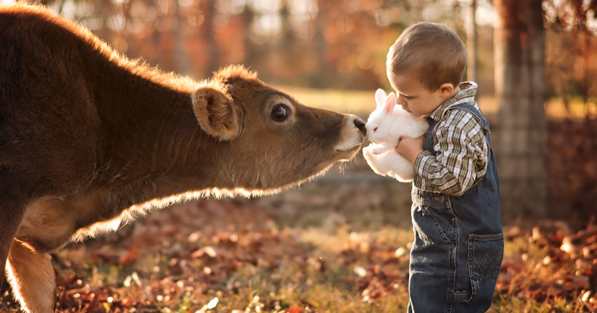 Estas fotos épicas de crianças e animais na fazenda vão fazer você desejar ter crescido no campo