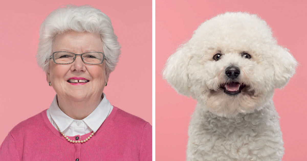 Fotógrafo coloca cães e seus donos lado a lado, e a semelhança é misteriosa
