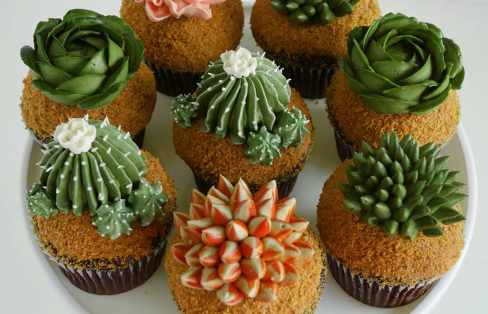 Plantas suculentas em bolos e cupcakes