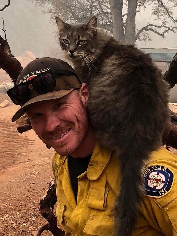 Bombeiro salva gata de incêndio na Califórnia, e agora ela não consegue parar de agradecê-lo