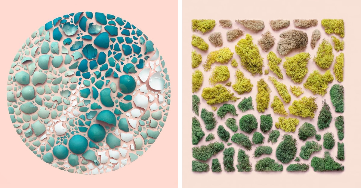 Artista reorganiza objetos orgânicos encontrados em arranjos visualmente encantadores