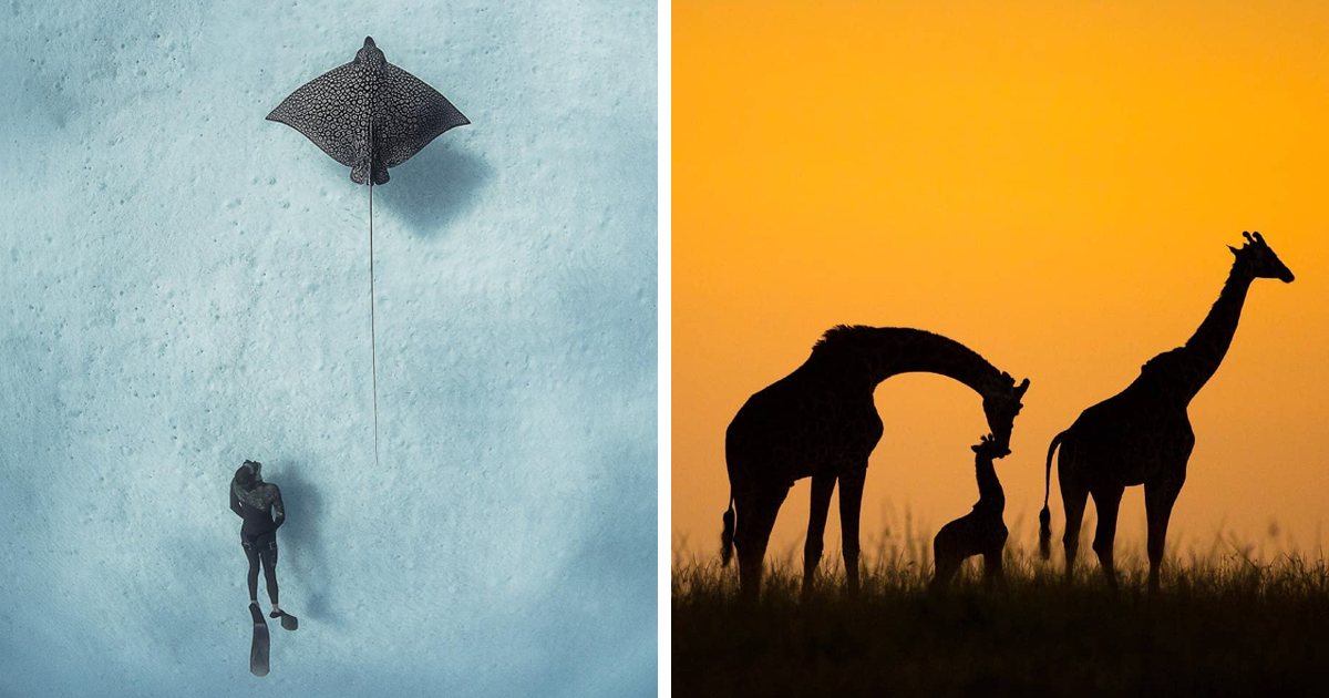 As 29 fotos mais impressionantes do concurso de fotografia que a National Geographic fez no Instagram