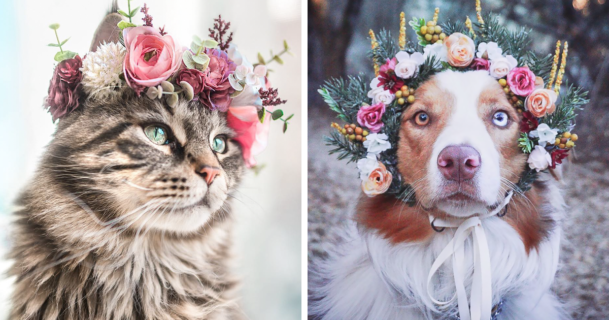 Este artista faz coroas de flores que podem ser usadas por animais e também seus donos