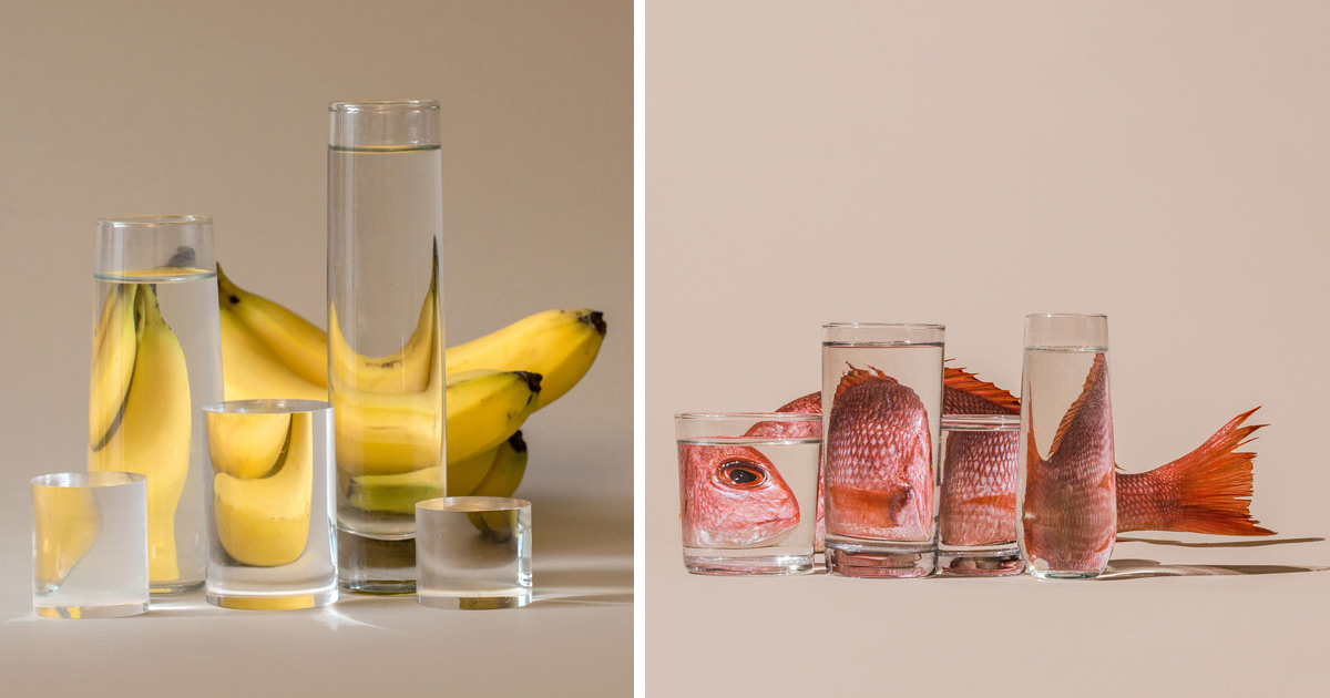 Fotógrafa distorce alimentos através de líquidos e vidros nesta série