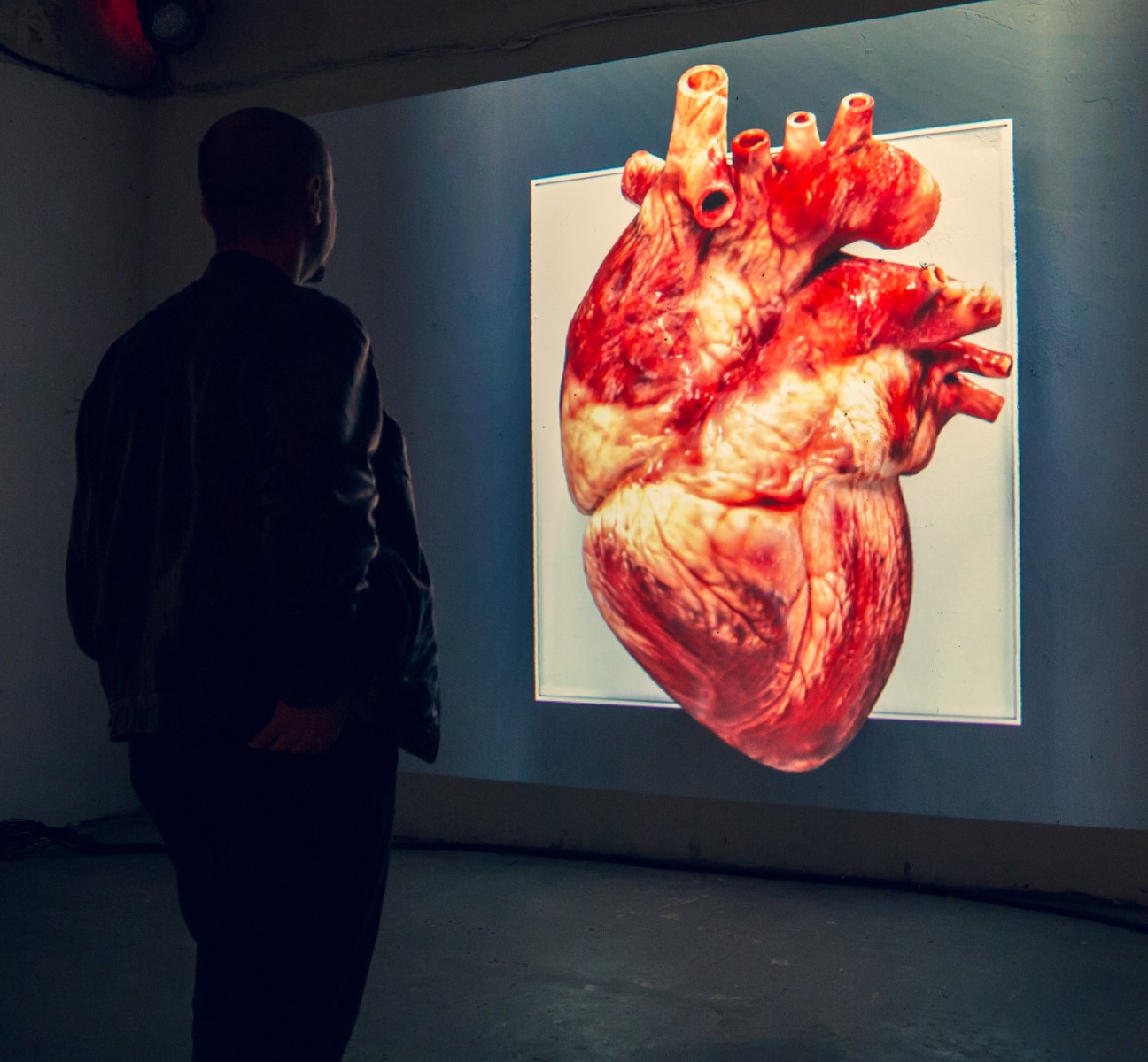 Esta instalação de arte impressionante é sincronizada com o batimento cardíaco do espectador