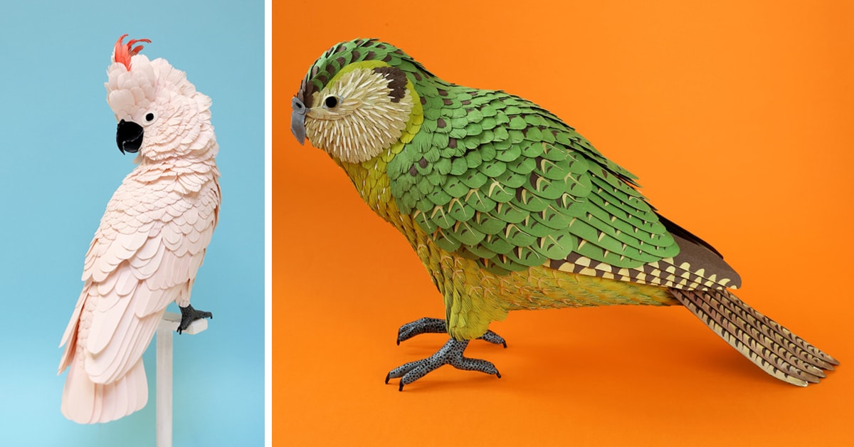 Esta artista surpreendente recria pássaros exóticos como esculturas de papel realistas
