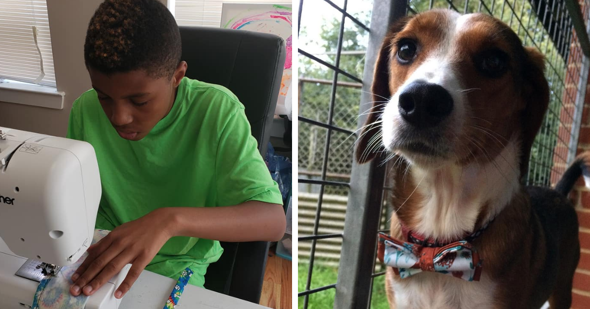 Garoto de 12 anos faz gravatas elegantes para cães e gatos de abrigos para ajudá-los a encontrar uma casa