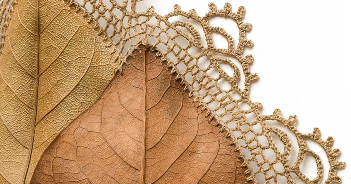 Artista de crochê usa suas habilidades para transformar folhas secas em obras de arte