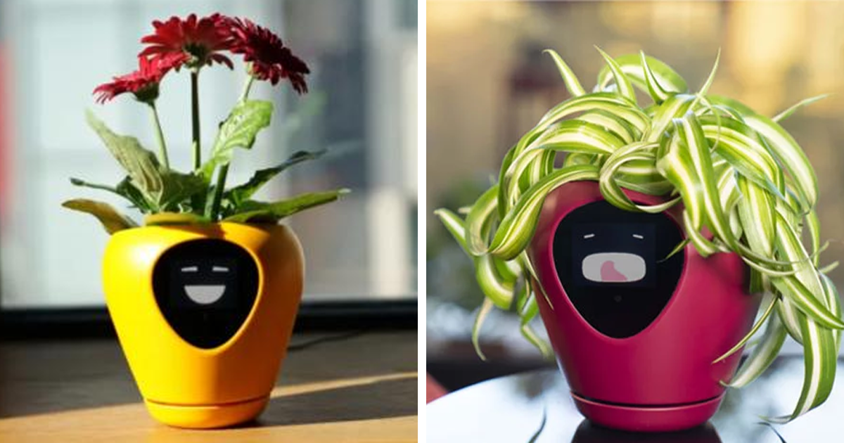 Este vaso inteligente usa expressões faciais para garantir que suas plantas estejam sempre bem cuidadas