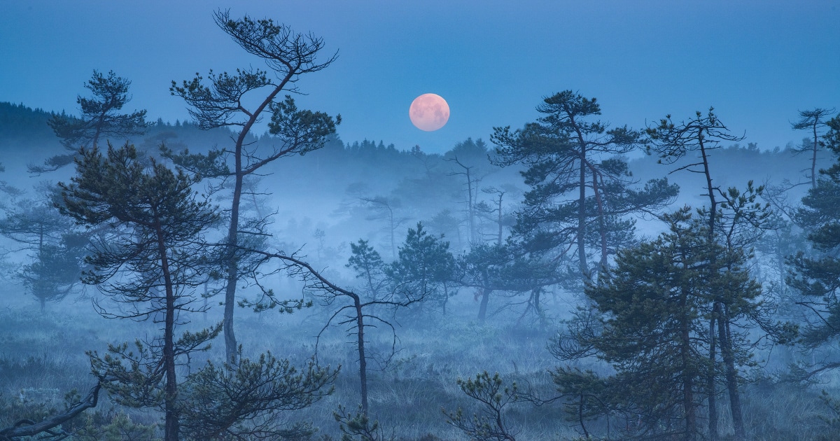 Fotografias de paisagens que capturam o encantamento do crepúsculo