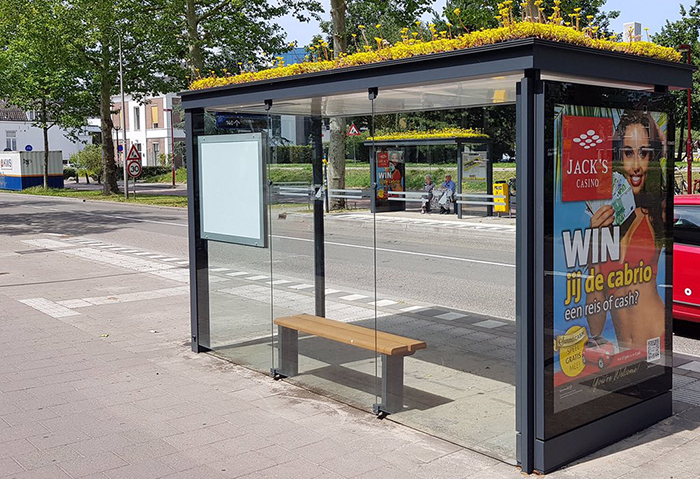 Holanda transforma 316 pontos de ônibus em “pontos de abelhas”