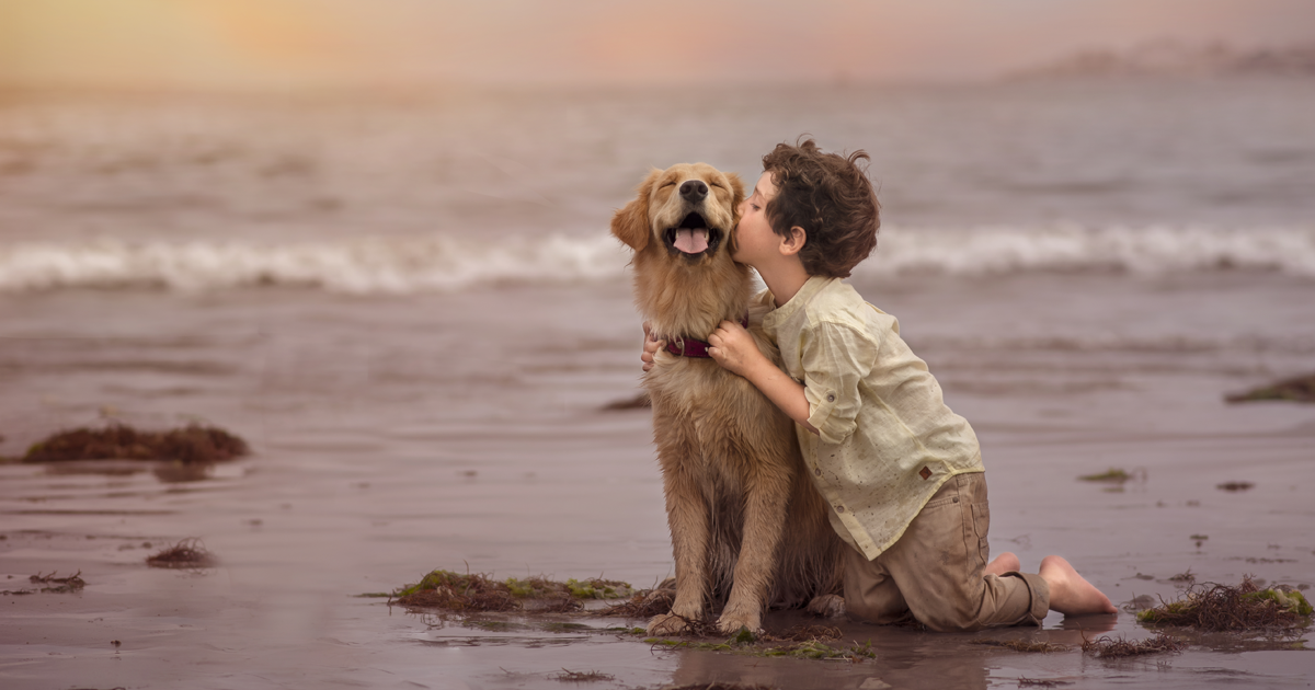Fotógrafa captura as aventuras do seu filho e seu novo cão desde o momento em que se conheceram