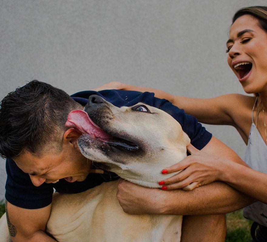 Este casal levou o cão para o ensaio de casamento, e o resultado ficou hilário