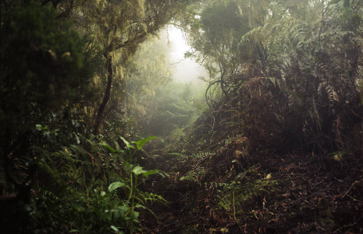 “Tropics”, uma série de fotos tropicais que nos leva a uma história exótica tingida de nostalgia