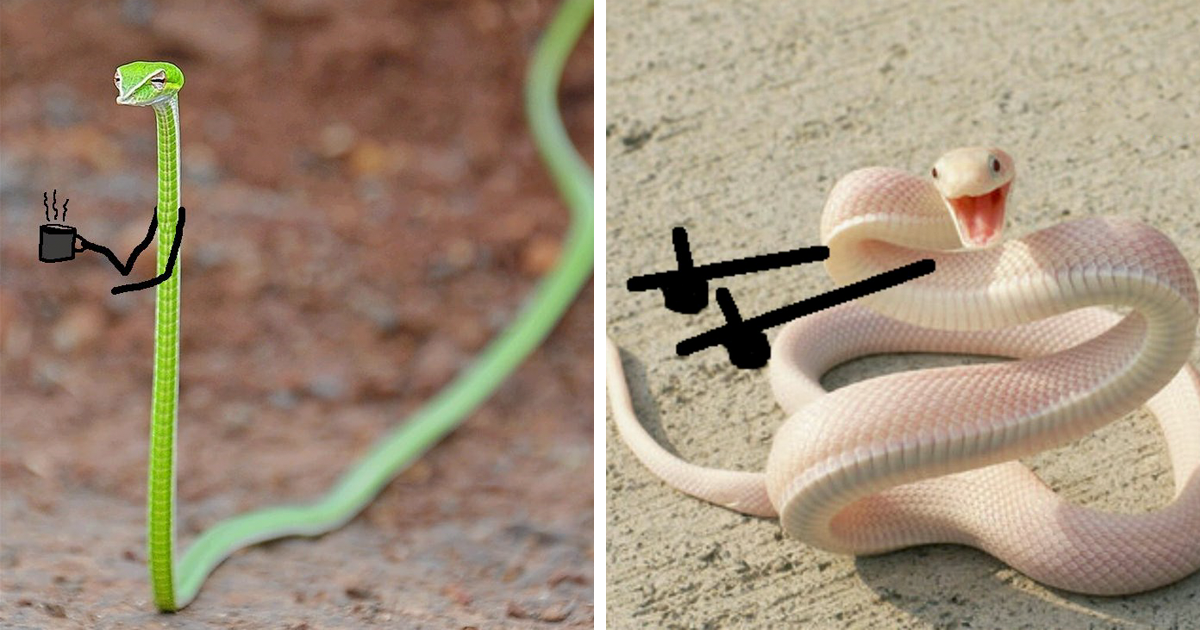 60 vezes que as pessoas deixaram as cobras engraçadas ao desenhar braços nelas