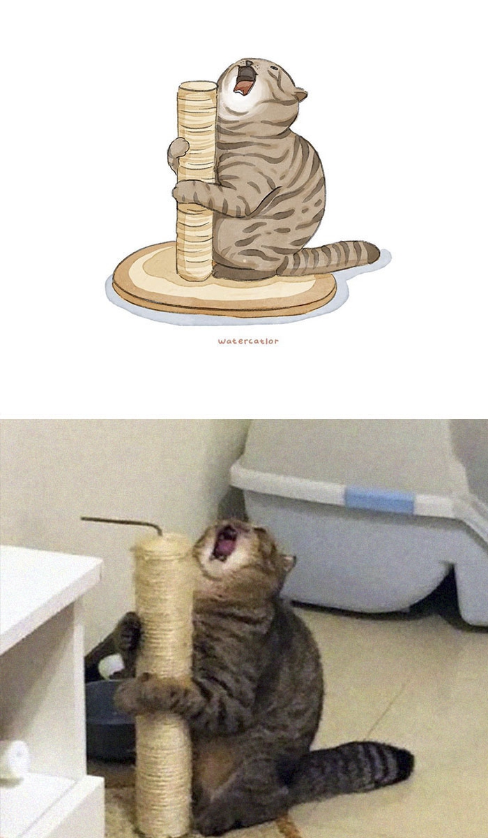 75 das imagens mais engraçadas de gatos famosos da Internet são “aquareladas” por esta artista