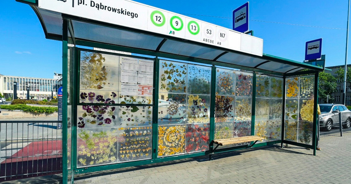 Este pontos de ônibus polonês se tornou uma galeria de desenhos com flores secas