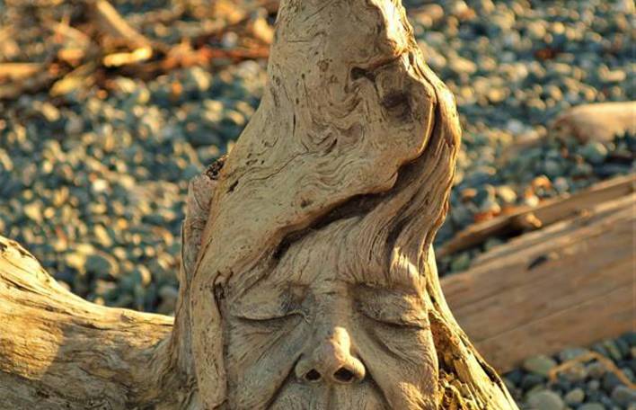 Figuras fantásticas esculpidas em troncos por escultora baseada no Canadá