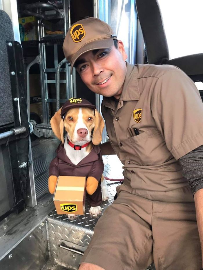 Motoristas Da UPS Criam Grupo No Facebook Sobre Cães Que Passam Em Suas Rotas E Isso Fará O Seu Dia