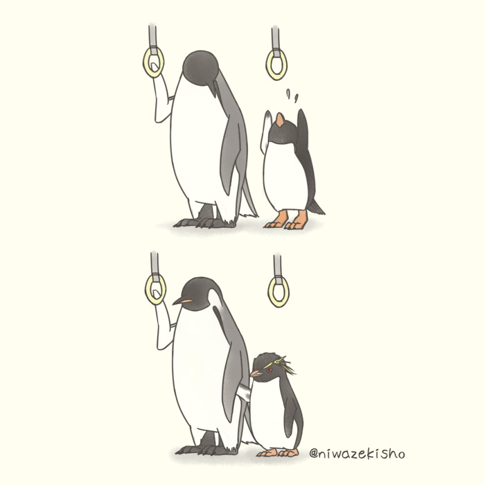 63 Quadrinhos De Um Pinguim Filhote Que Falha Nas Tarefas Básicas Da Vida, Exceto Em Ser Super Fofo