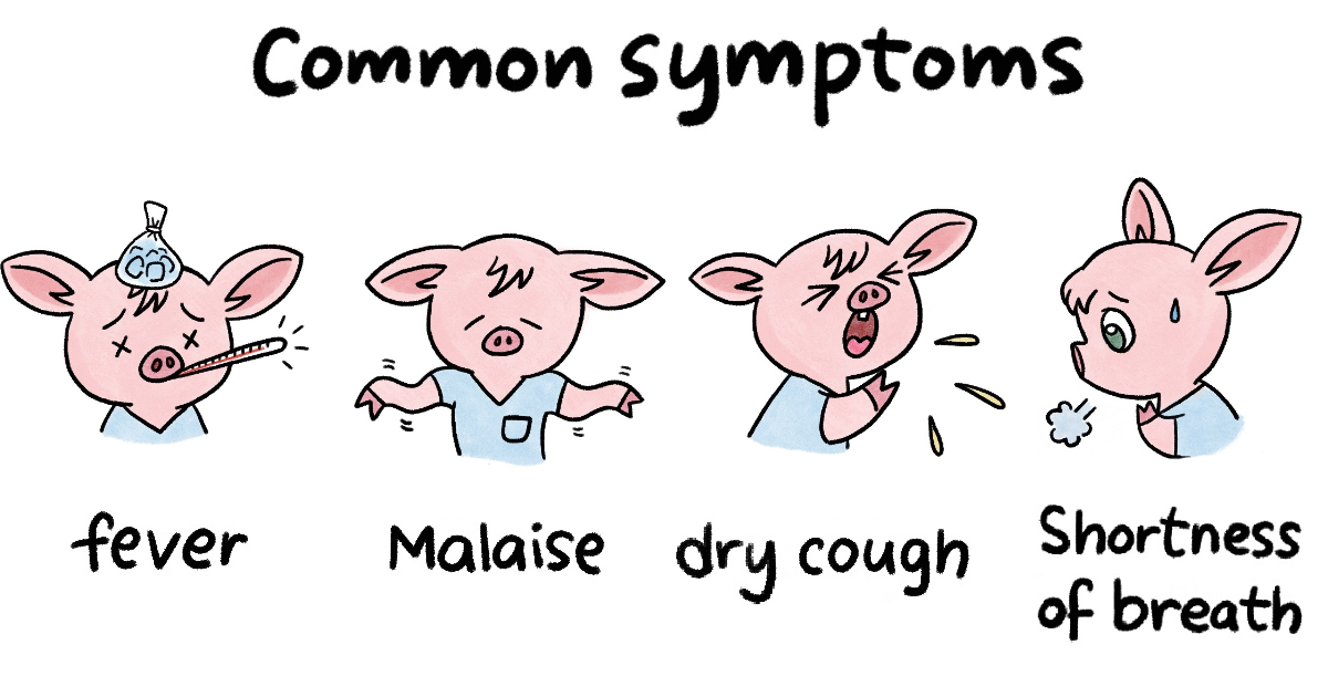 13 Ilustrações Simples E Muito Relevantes Sobre O Coronavírus E Cuidados Necessários