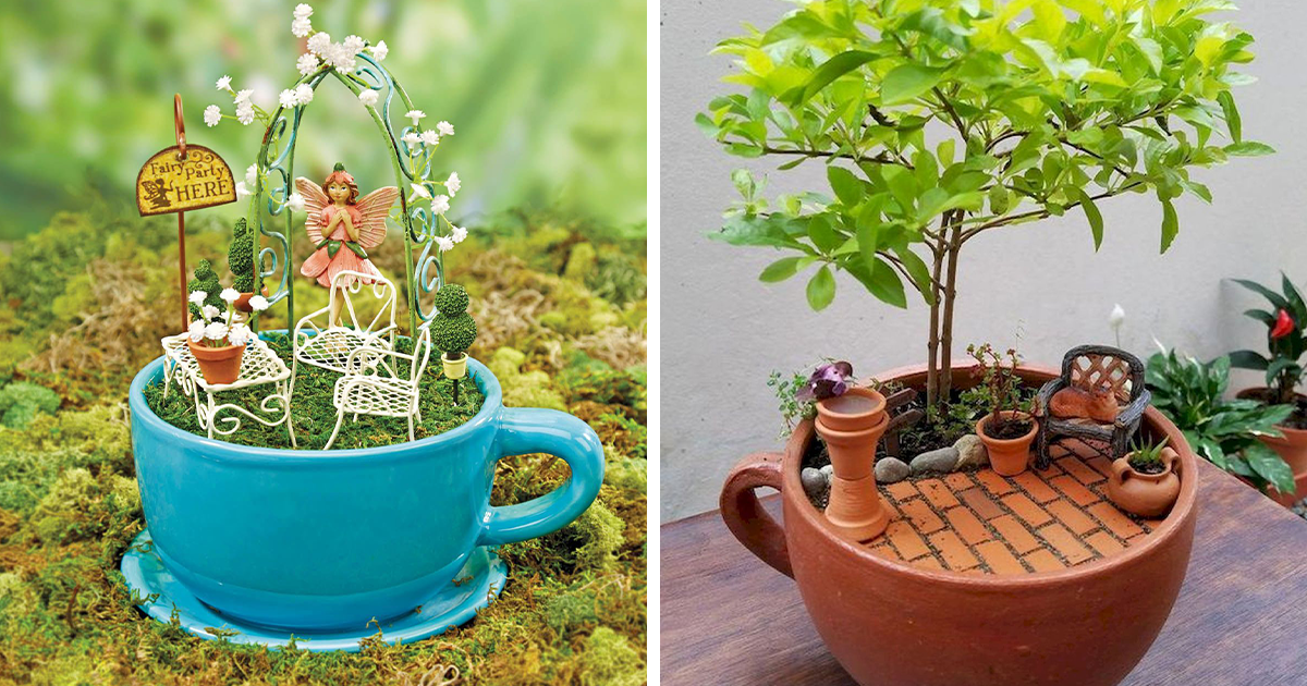 23 Adoráveis Jardins Em Miniatura Dentro De Xícaras