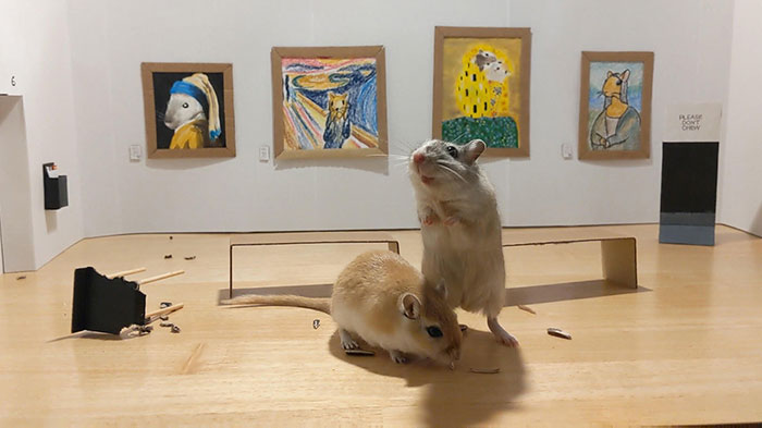 Casal Em Quarentena Cria Uma Galeria De Arte Com Pinturas Icônicas Em Miniatura Para Seus Hamsters