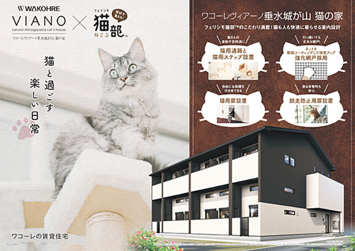 Estes Apartamentos São Perfeitos Para Solteiros Que Vivem Com Gatos