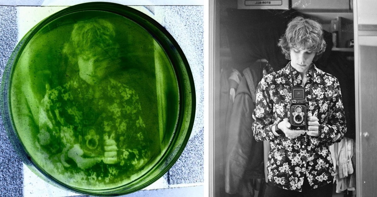 Estudante De Pós-Graduação Desenvolve Método Exclusivo De Revelação De Fotos Em Algas
