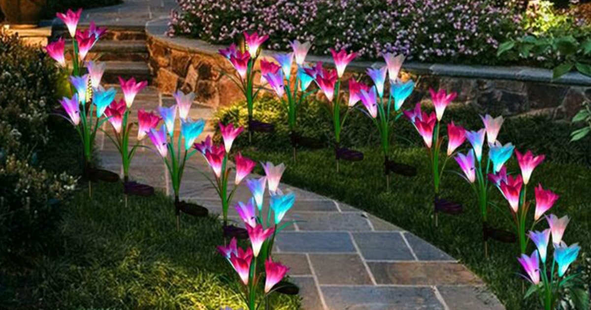 Estas Coloridas Flores De Lírio São Carregadas A Energia Solar E Podem Iluminar Seu Jardim