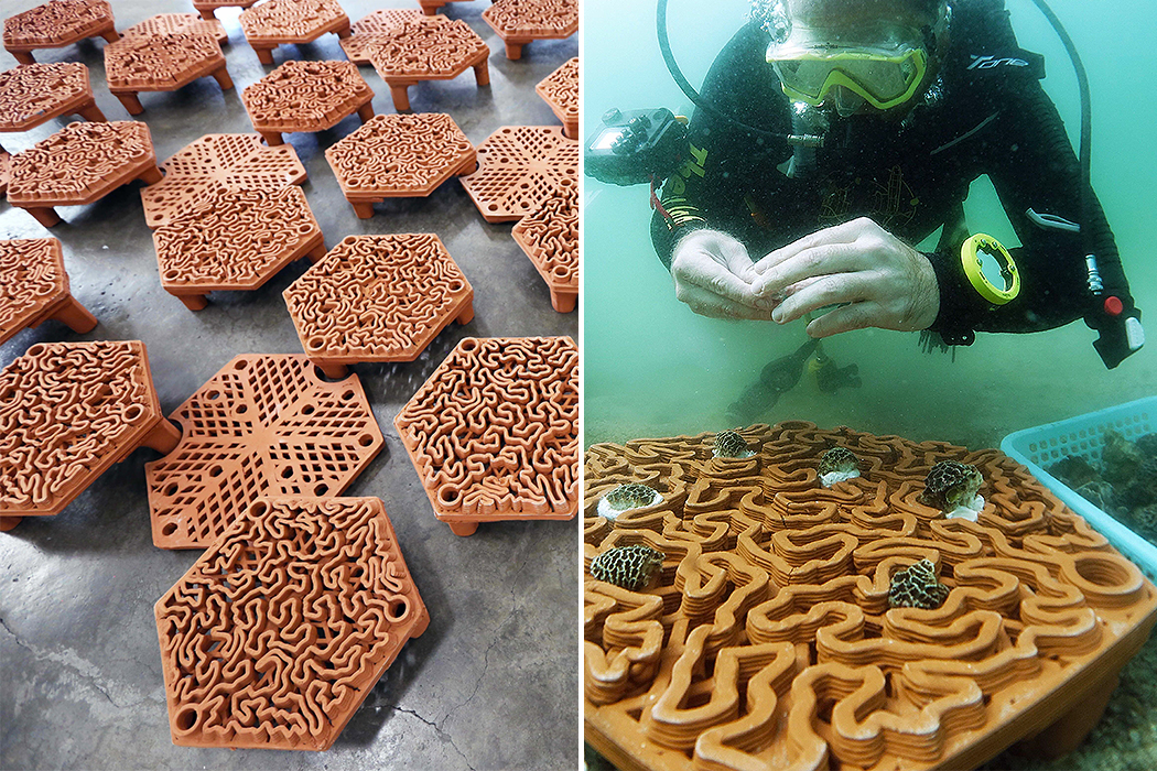 Esses Azulejos De Terracota Impressos Em 3D Foram Projetados Para Reviver A Vida Dos Corais