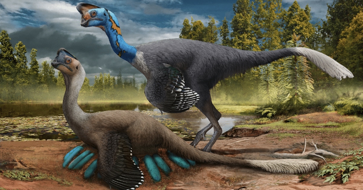 Incrível Descoberta De Fósseis Mostra Dinossauro Sentado Em Seu Ninho