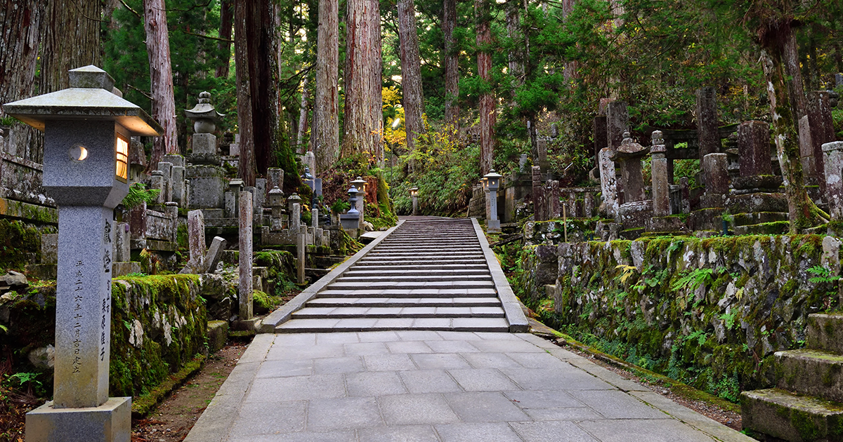 A Tradição Dos Enterros Em Árvores Do Japão